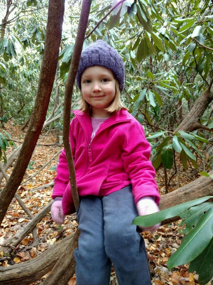 img952016102795100550760